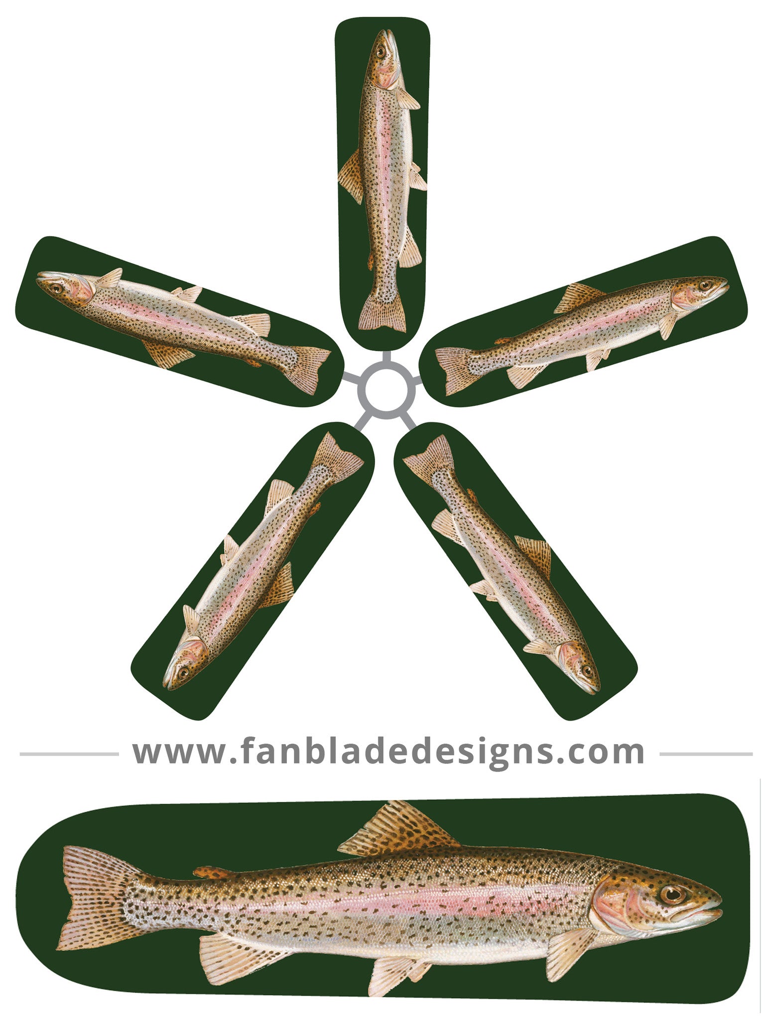 Fresh Rainbow Trout Fillets - Wild Caught, Sustainably Sourced - Perfect for Grilling, Baking & Healthy Meals