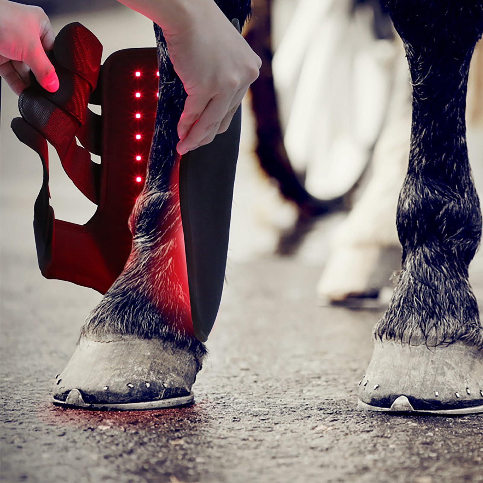 LED Red Light Therapy Boot for Horse Hooves - Infrared & Red Light Therapy Device to Relieve Leg Pain from Vigorous Exercise - Ideal for Post-Workout Recovery & Equine Wellness (1pc)