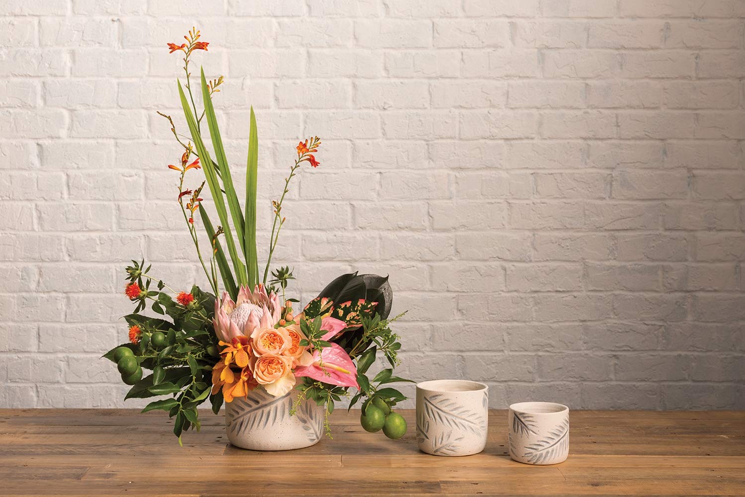 Modern White Ceramic Plant Pot - 7