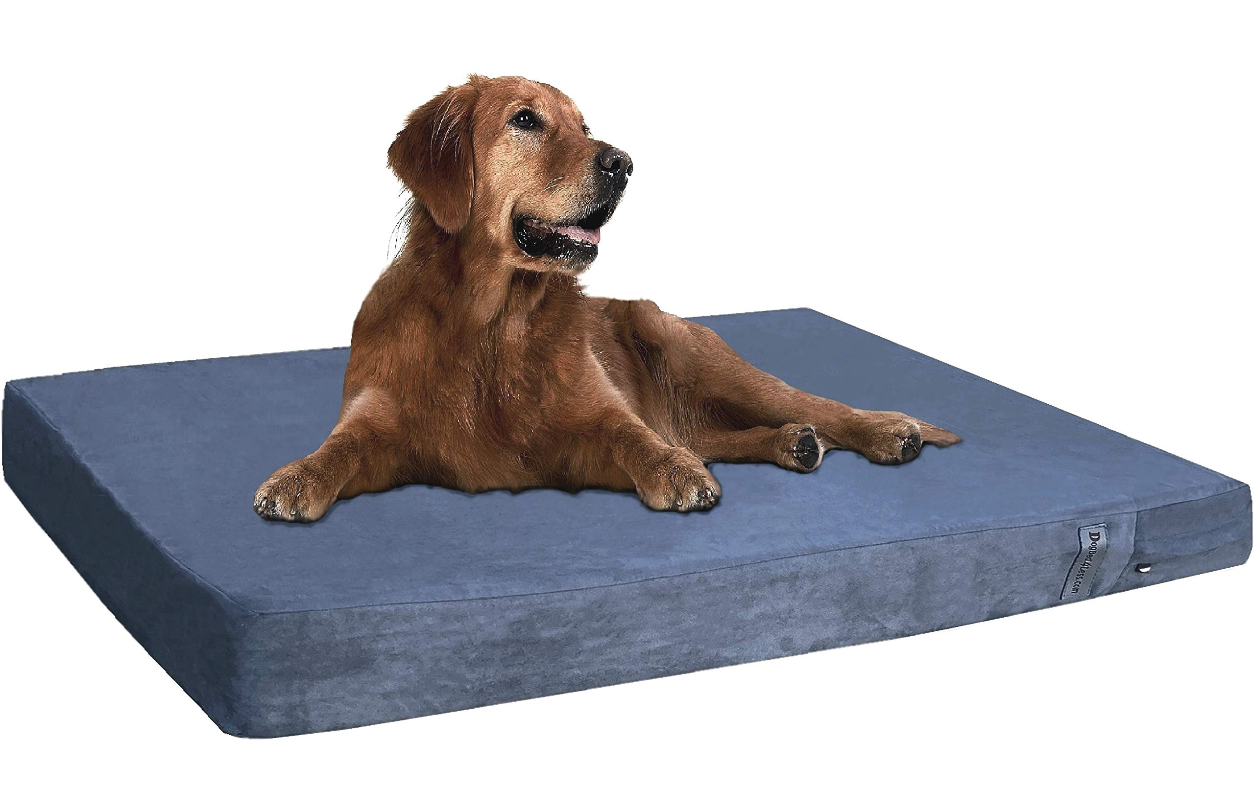 Premium Orthopedic Memory Foam Dog Bed for Large Dogs - Waterproof & Machine Washable Cover - Fits 48