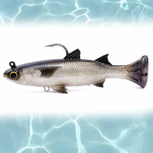 WHITE MULLET