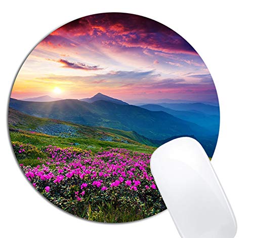 Nature Purple Flowers Meadow Mountain Scenic