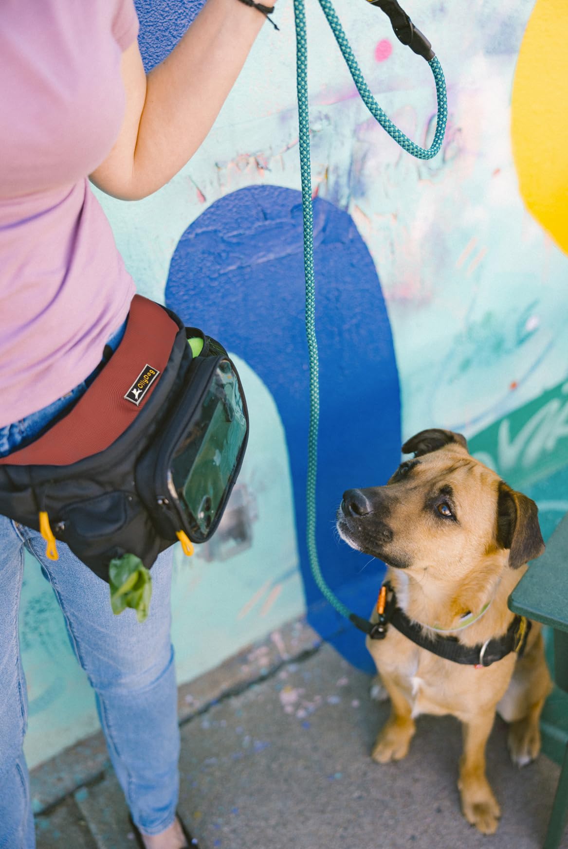 OllyDog Trailblazer Pack - Hands-Free Dog Fanny Pack with Treat Pouch, Water-Resistant Design, Built-in Poop Bag Dispenser & Rubber Fetch Ball - Perfect for Dog Walking, Training & Outdoor Adventures