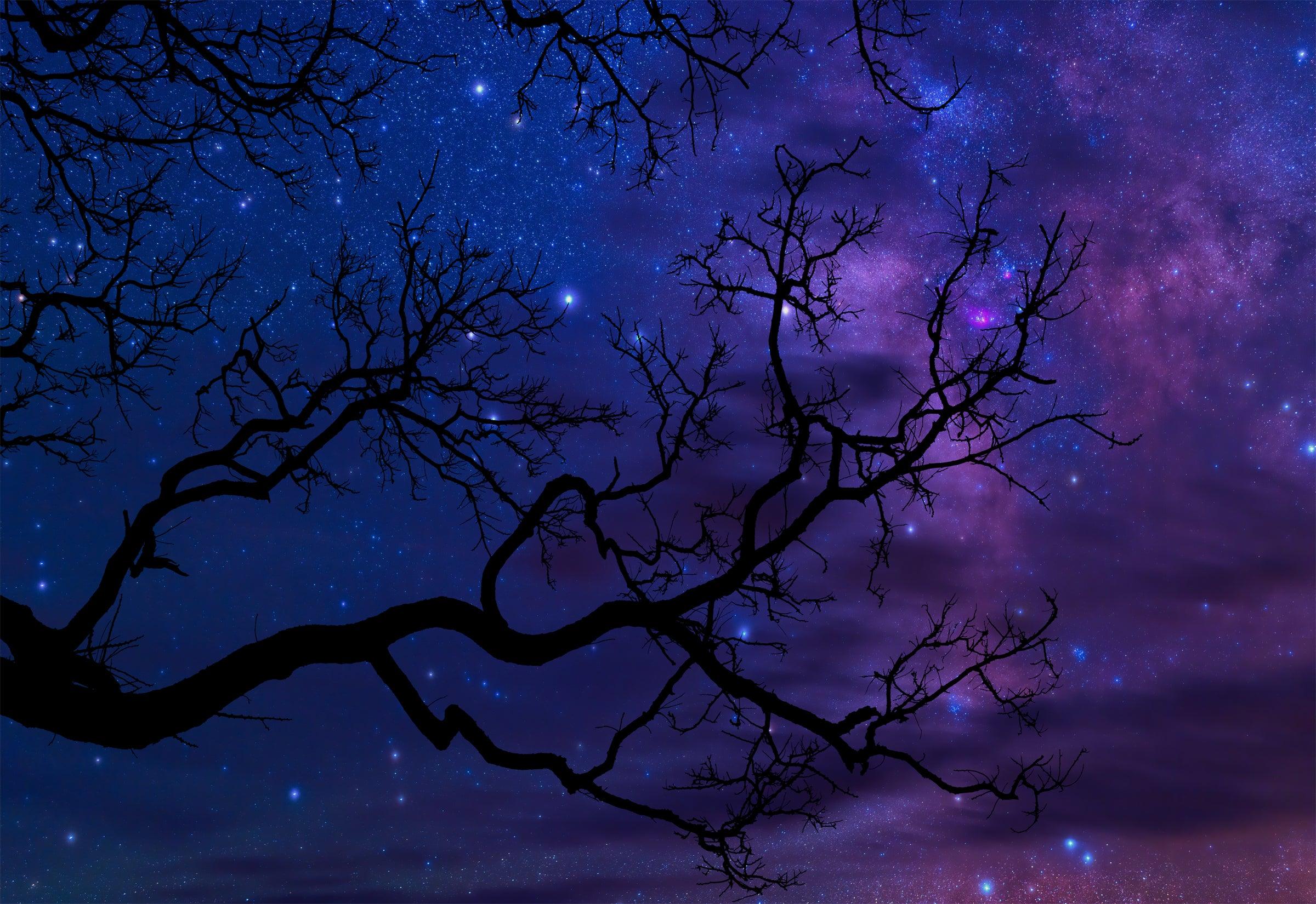 Beyond Worlds - Explore Limitless Possibilities with Our Premium Products | Perfect for Home Decor, Gifts & Unique Collections