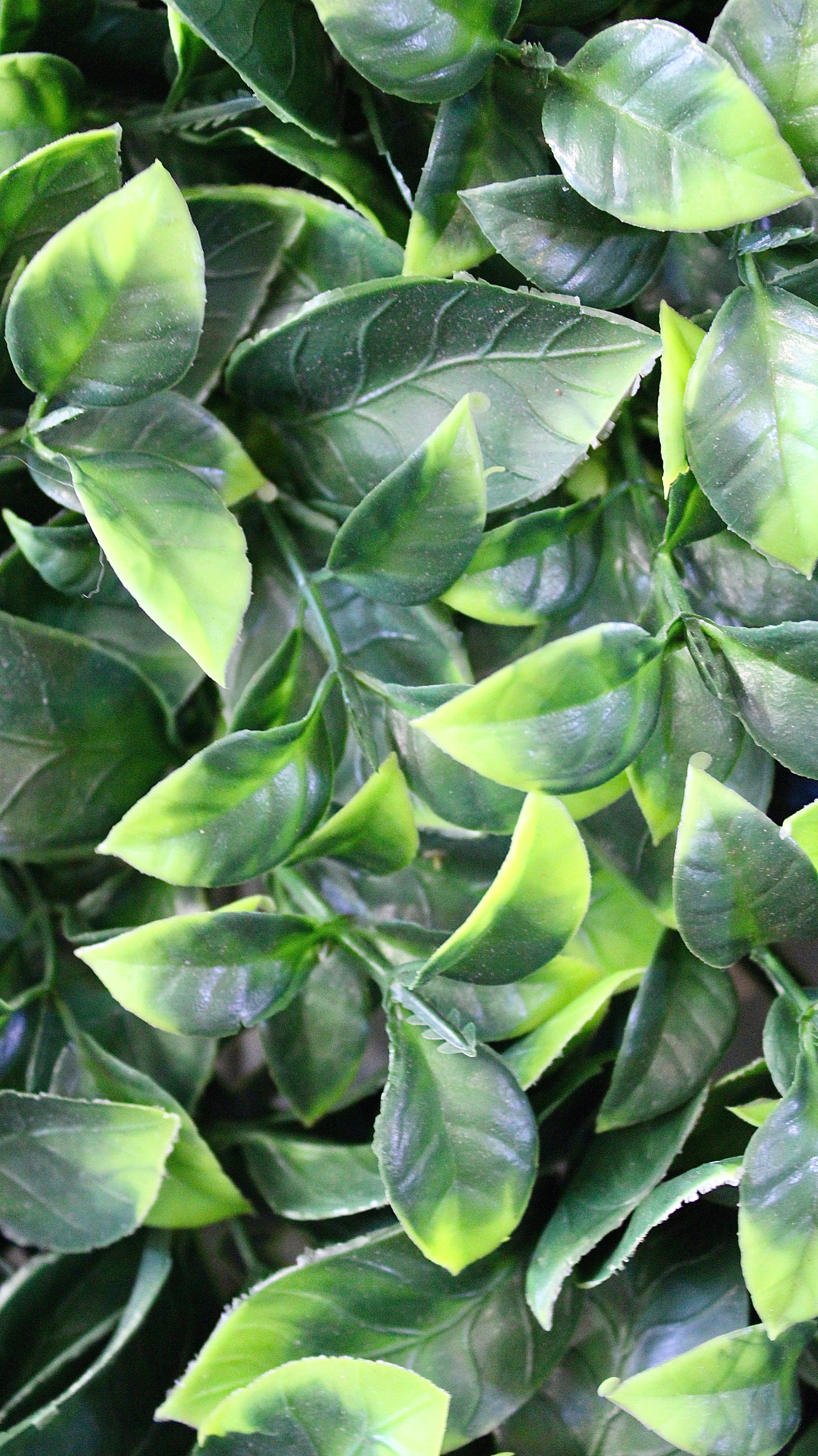 Premium Benjamina Boxwood Panel - Artificial Hedge for Privacy Screening, Landscaping & Home Decor - Perfect for Indoor/Outdoor Use in Gardens, Patios & Balconies