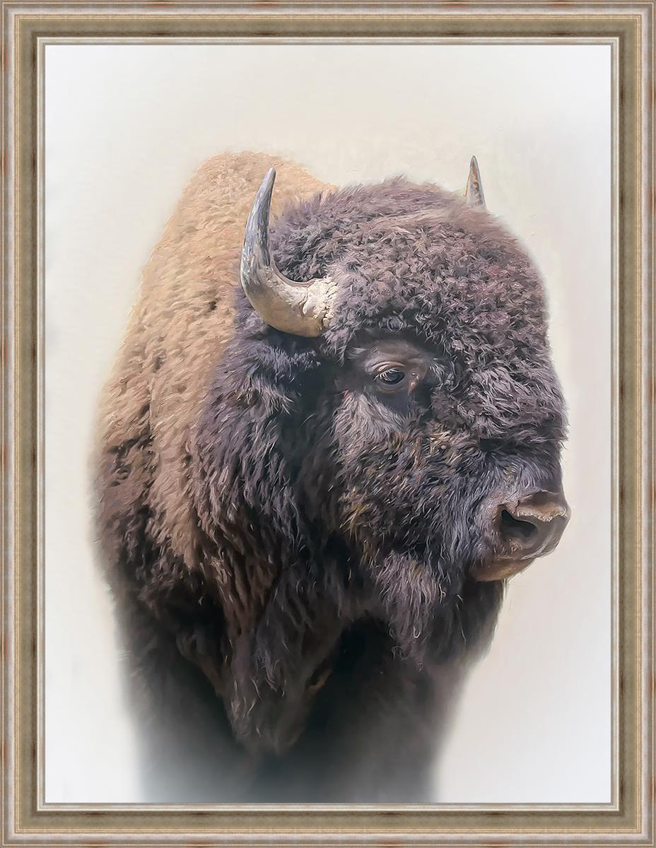 Bison Large Wall Art - Stunning Bison Canvas Print for Home & Office Decor | Perfect for Living Room, Bedroom, or Cabin Wall Decor