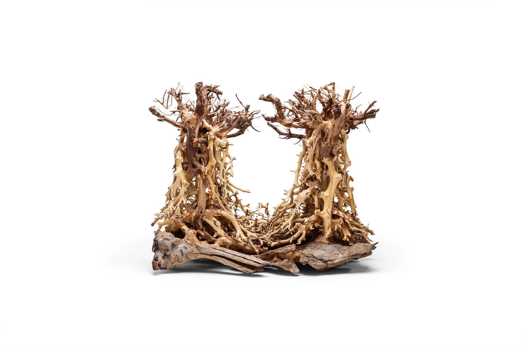 UNS Bonsai 003 - Premium Aquarium Bonsai Tree for Fish Tank Decoration | Perfect for Aquascaping, Shrimp Tanks & Natural Underwater Landscapes
