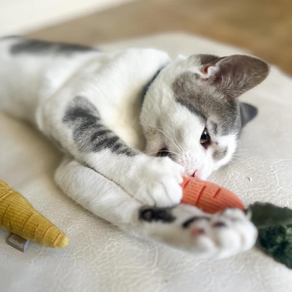 2-Piece Baby Carrot Cat Toy Set - Soft & Durable Kitten Plaything for Interactive Play - Perfect for Teething Kittens, Playtime, and Training