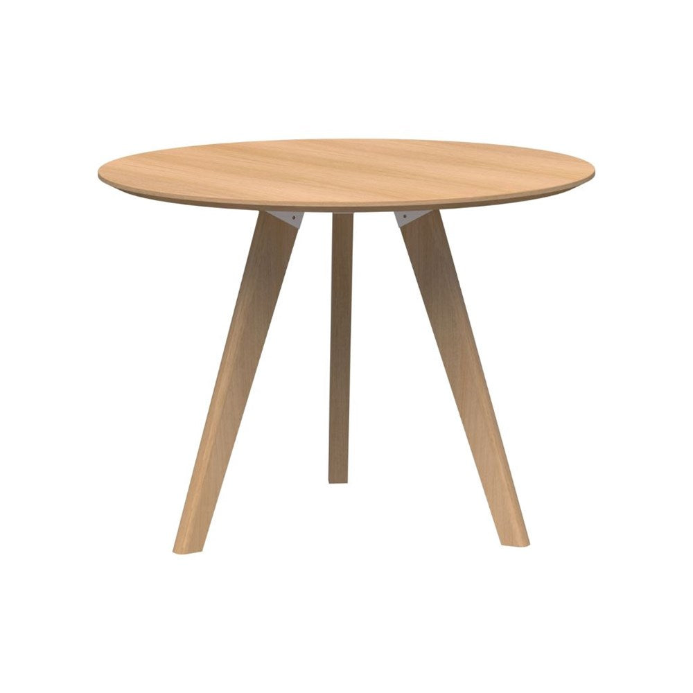 Tasmanian Ash