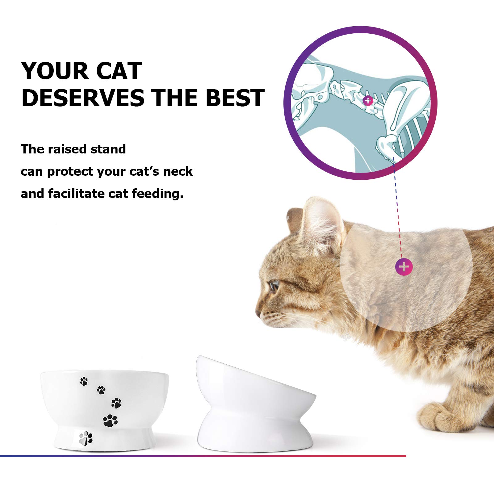 Elevated Cat Food Bowls Set - 2 Ceramic Tilted Raised Bowls (3.6