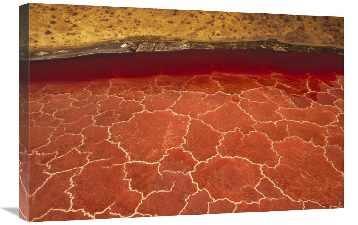 20 x 30 Inch Lake Natron Tanzania Soda Formations Art Print by Gerry Ellis - Stunning East African Landscape Wall Decor for Living Room, Office & Bedroom