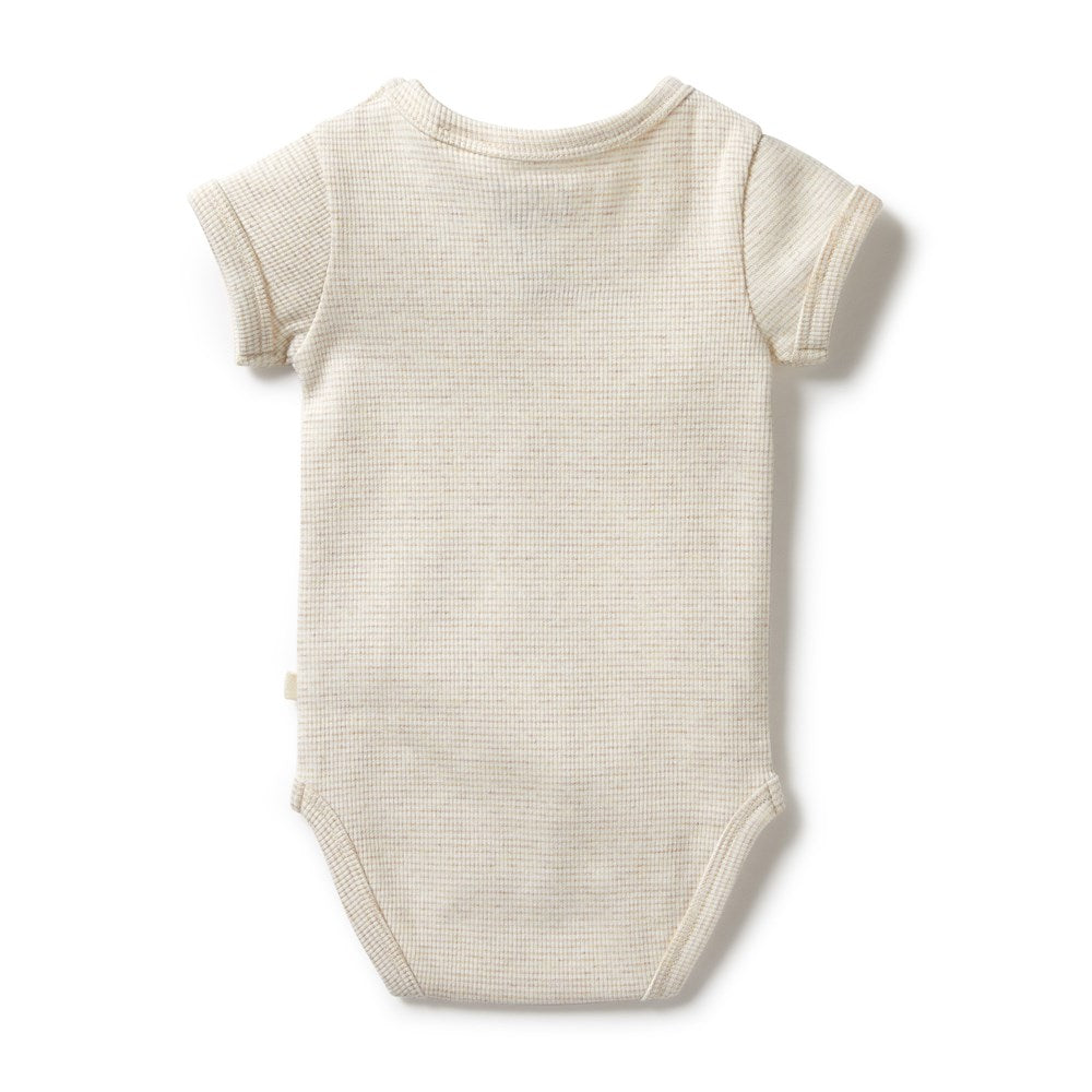 Organic Stripe Rib Bodysuit - Soft & Comfortable Baby Onesie for Newborns & Infants | Perfect for Playtime, Sleep & Everyday Wear