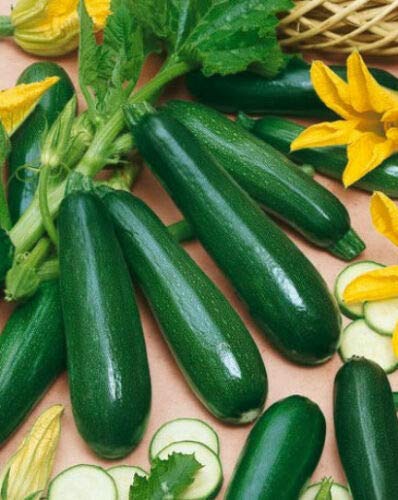 Organic Black Beauty Zucchini Seeds - 35 Count, Non-GMO, Heirloom Summer Squash Seeds for Home Garden, Planting & Cooking | Lulu Certified, High Yield, Easy to Grow