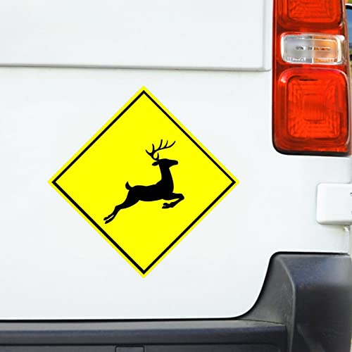 Deer-1