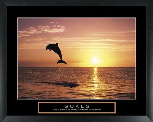 2 Pack Framed Motivational Posters - Dolphin Path Inspirational Wall Art for Office & Home Decor - Perfect for Living Room, Bedroom, or Kitchen Wall Decor
