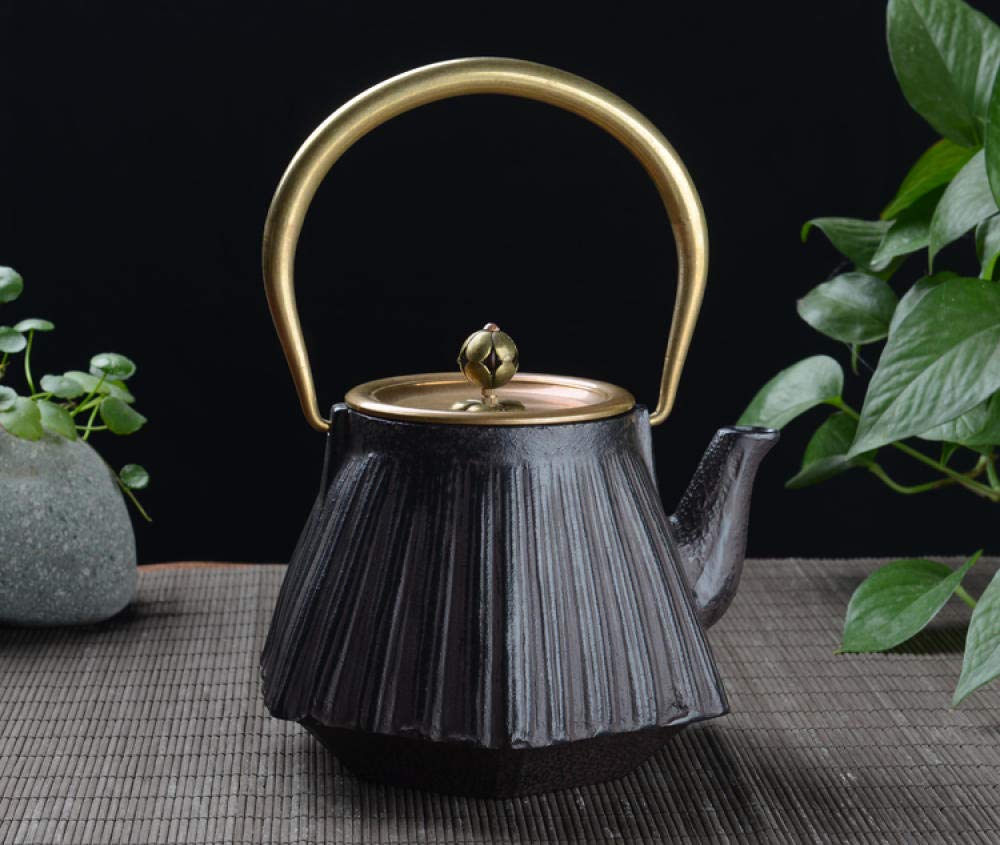 Premium Cast Iron Kettle - Heavy Duty Rust-Resistant Iron Tea Pot with Oxidation Protection - Perfect for Camping, Home Brewing & Traditional Tea Ceremonies