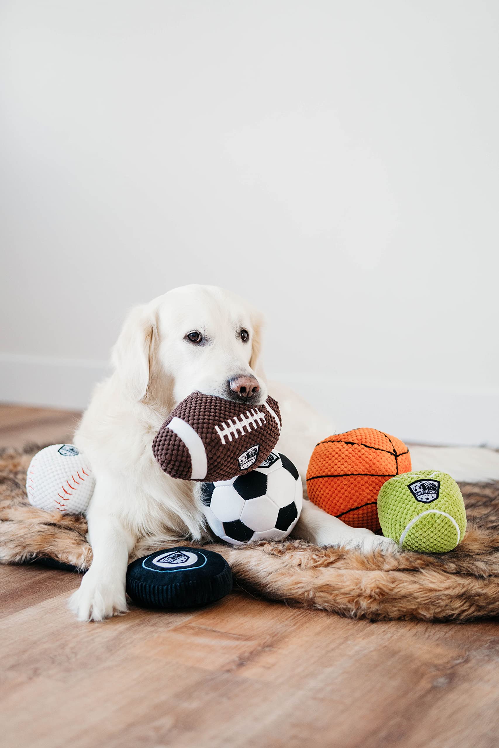 ZippyPaws Plush Football Dog Toy - Squeaky Balls for Small to Large Dogs, Perfect for Indoor & Outdoor Fetch Play