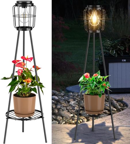 36'' Edison Bulb - 1 Pack