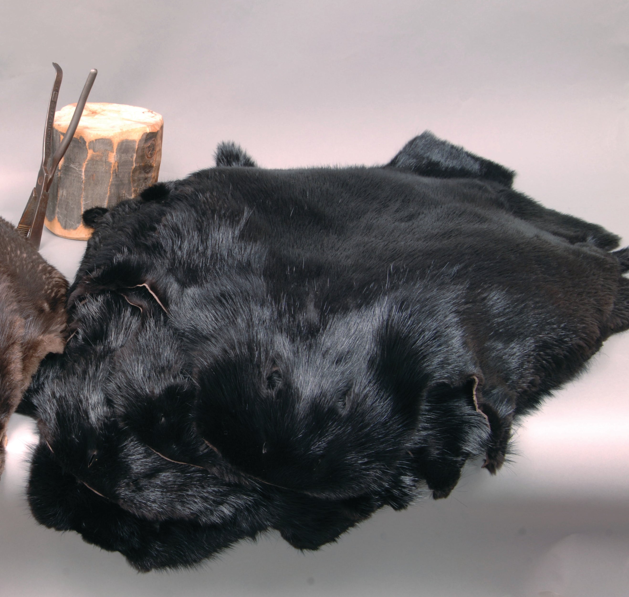 Premium Dyed Beaver Pelts for Sale - Soft, Durable & Waterproof - Perfect for Hats, Gloves & Winter Accessories