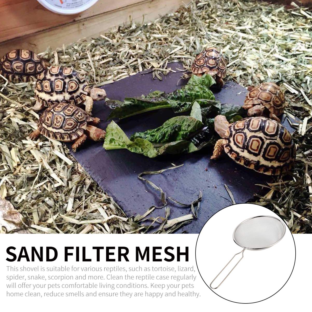 Balacoo Stainless Steel Pet Sand Shovel & Mesh Filter - Reptile Cleaning Tool with Sieve for Terrarium, Litter Box & Habitat Maintenance | Durable Reptile Supplies for Easy Sand Sifting & Waste Removal