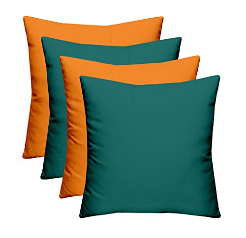 Peacock + Orange