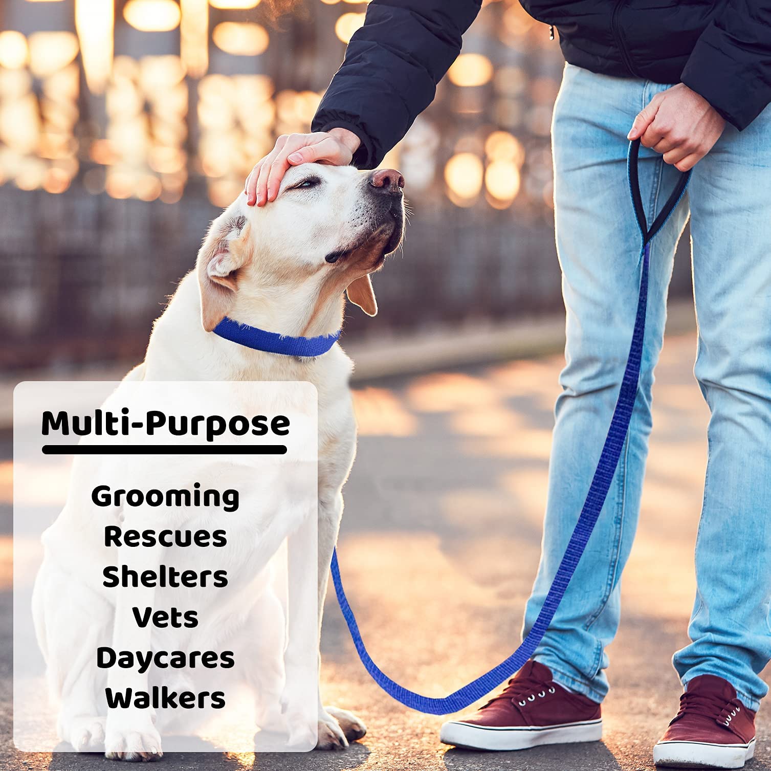 6FT Dog Kennel Slip Lead Leash - 1