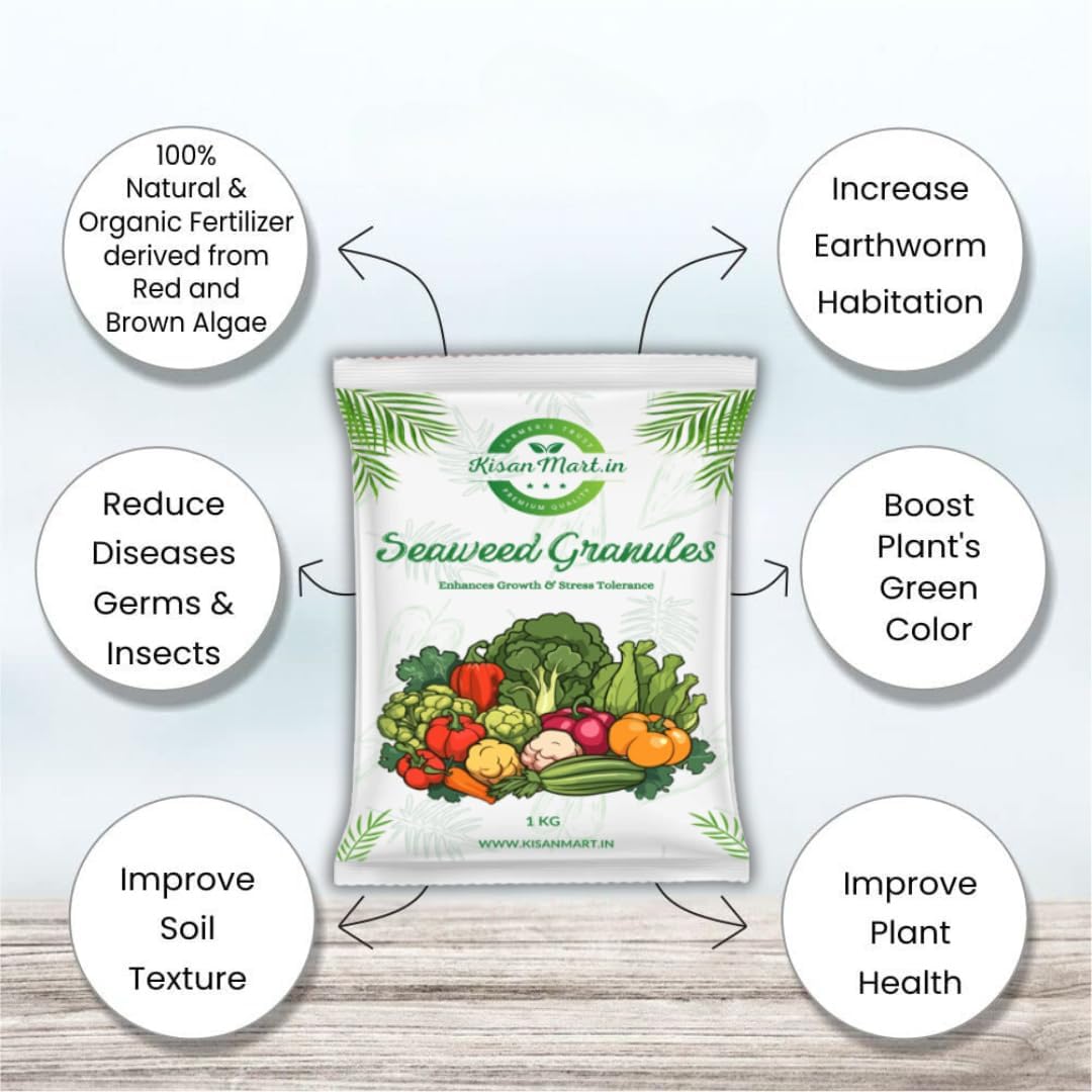 Organic Seaweed Granules 100g & 250g Combo - Natural Plant Growth Booster, Bio-Stimulant & Nutrient-Rich Fertilizer for Healthy Gardens, Lawns & Houseplants | Perfect for Organic Farming, Hydroponics & Indoor Plant Care