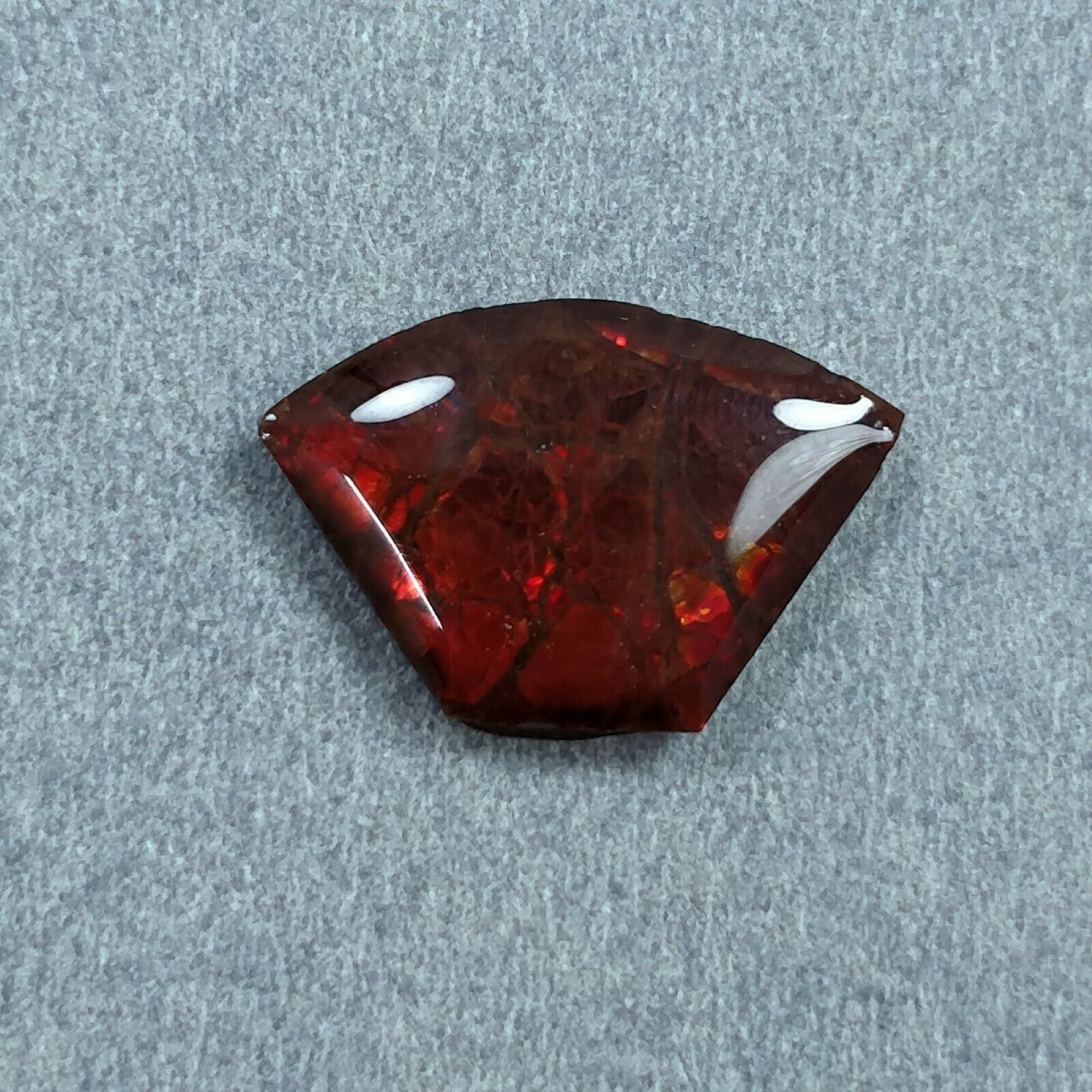 Natural AMMOLITE Gemstone Cabochon - Bi-Color Fossilized Shell Jewelry Making Stone (14x20mm or 24x19mm) for Pendants, Rings & Unique Handmade Jewelry Designs