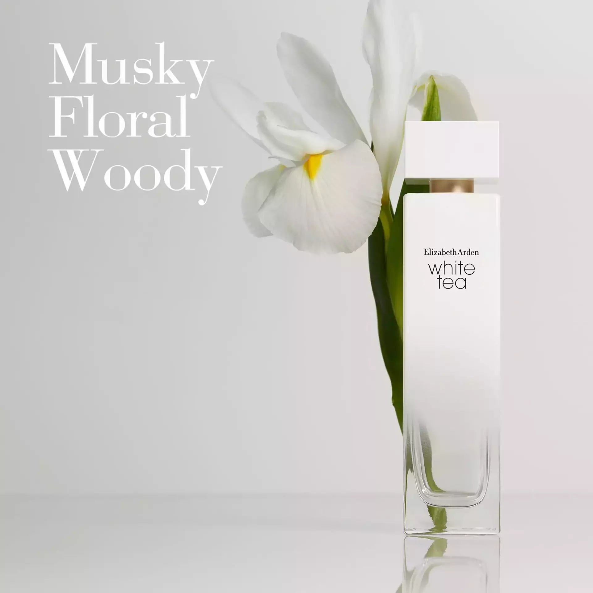 White Tea Eau de Toilette Spray for Women - Fresh Floral Fragrance Long Lasting Perfume | Perfect for Daily Wear, Office & Date Night