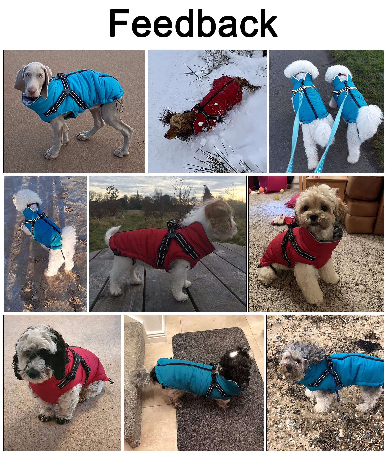 Waterproof Padded Dog Coat with Harness - Warm Winter Jacket for Small & Medium Breeds - Halloween & Christmas Pet Apparel - Black Large Size - Perfect for Outdoor Walks & Holiday Events