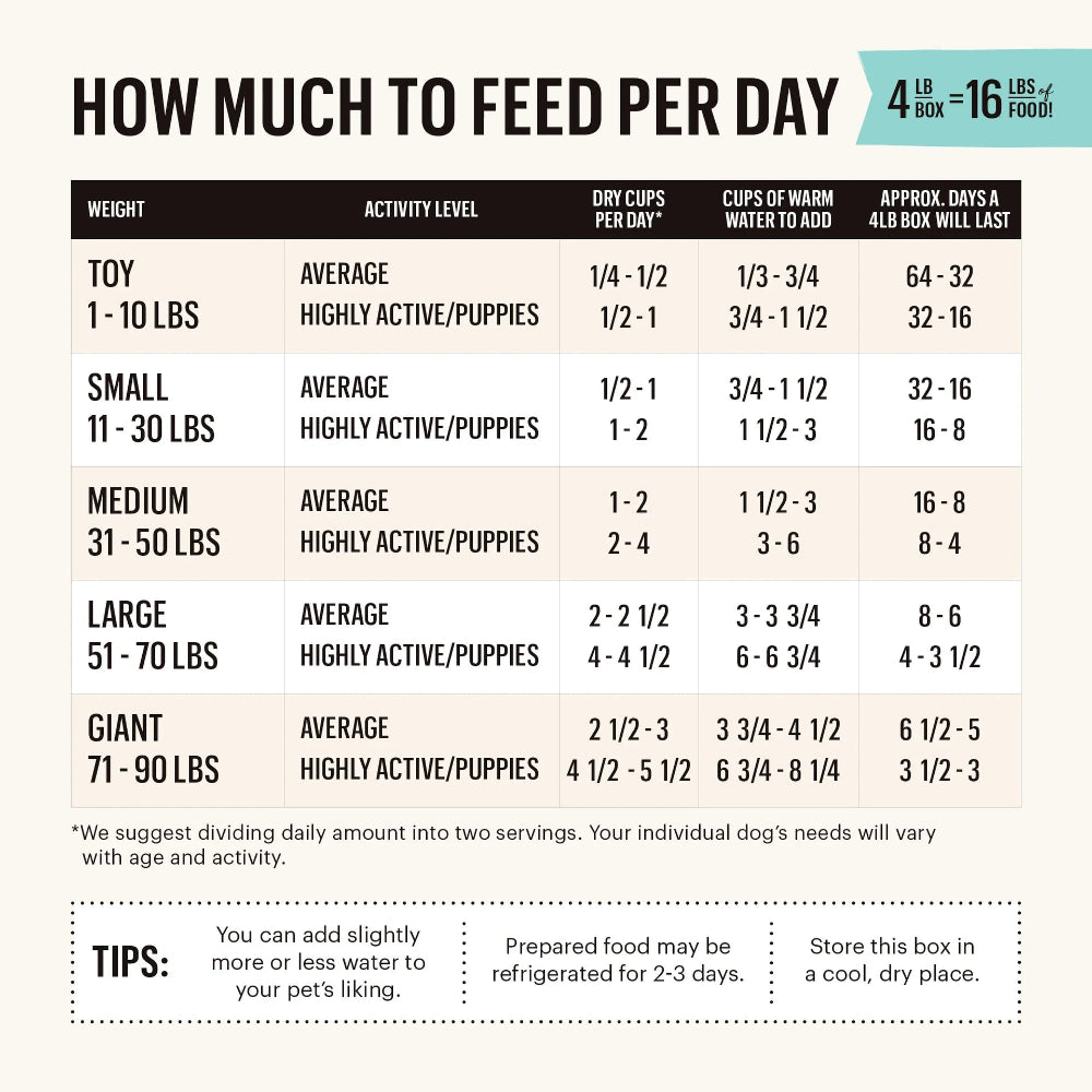 Premium Dehydrated Dog Food for Turkey & Fish Lovers – Grain-Free, All-Natural Nutrition for Active Dogs – Perfect for Hiking, Travel & Daily Meals