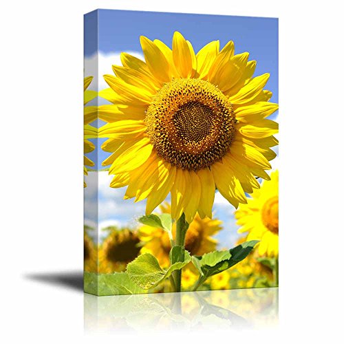Big Sunflower