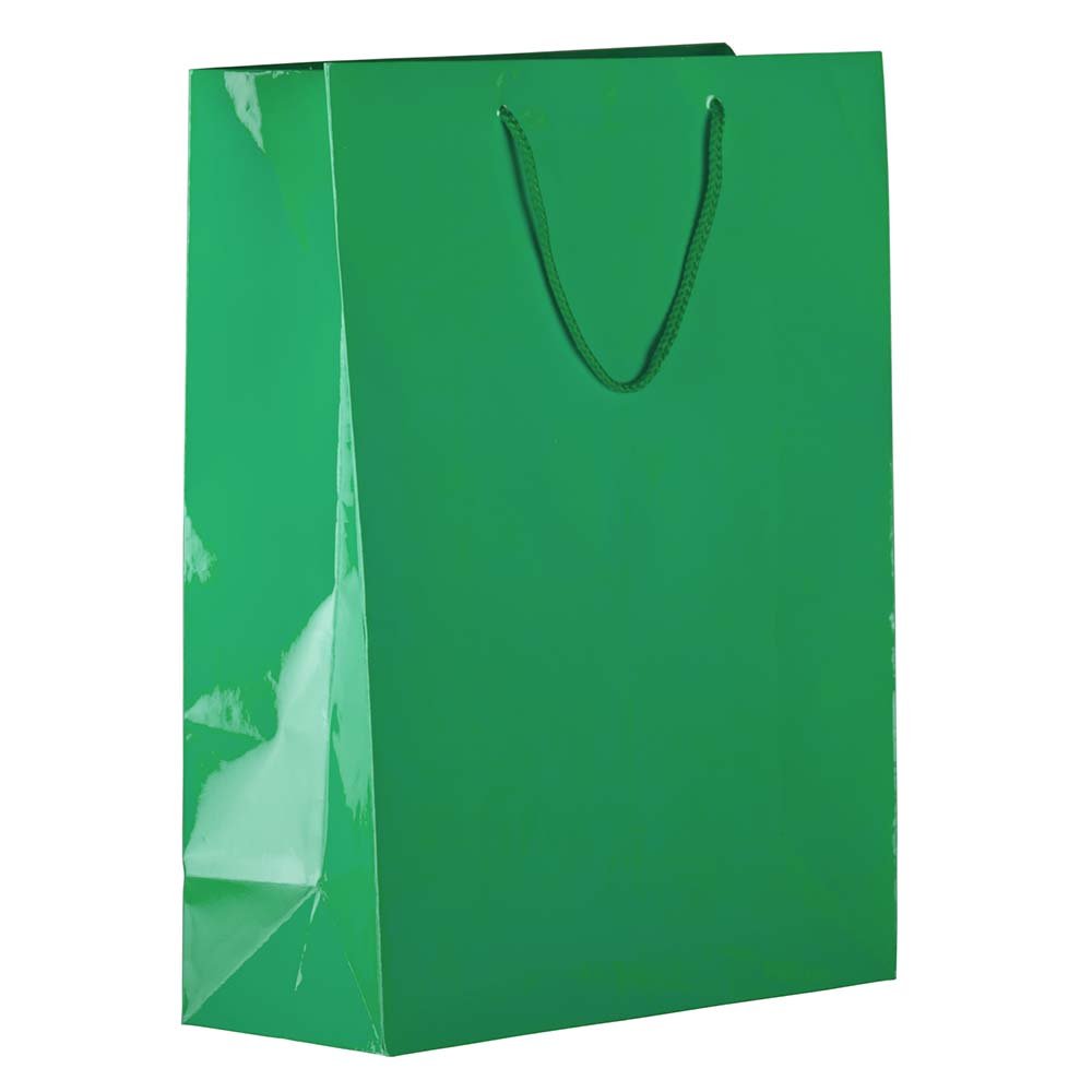 JAM PAPER Large Green Glossy Gift Bags with Rope Handles - Party & Wedding Favors