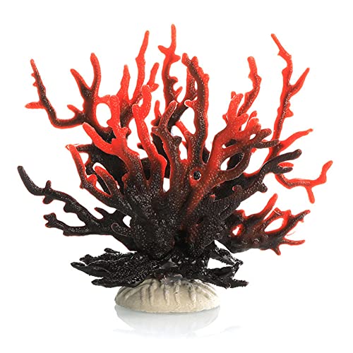 Ct107 Black Red
