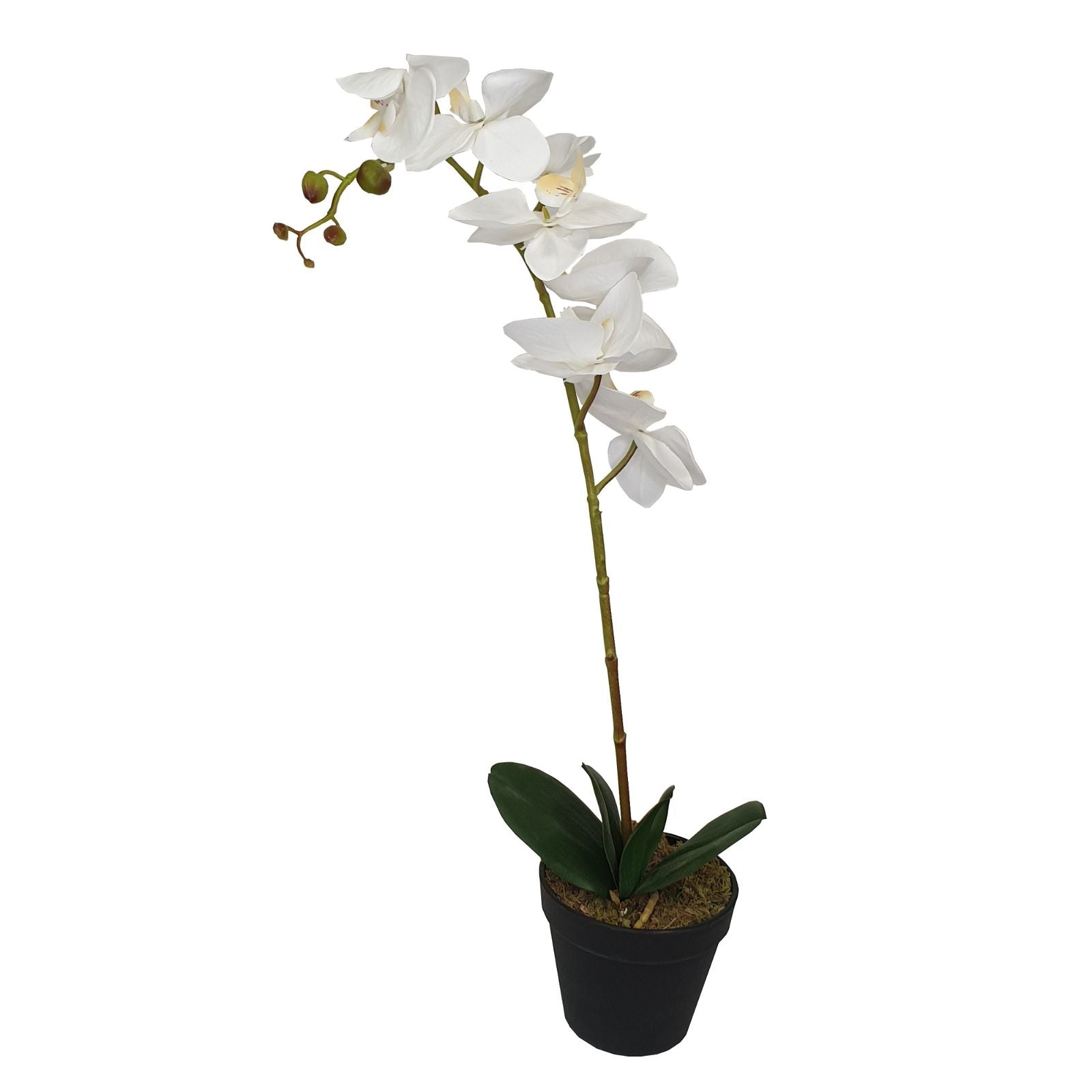 Premium 60cm Artificial Orchid with White Flowers - Lifelike Silk Fake Plant for Home Decor, Office, Wedding Centerpiece & Party Arrangements