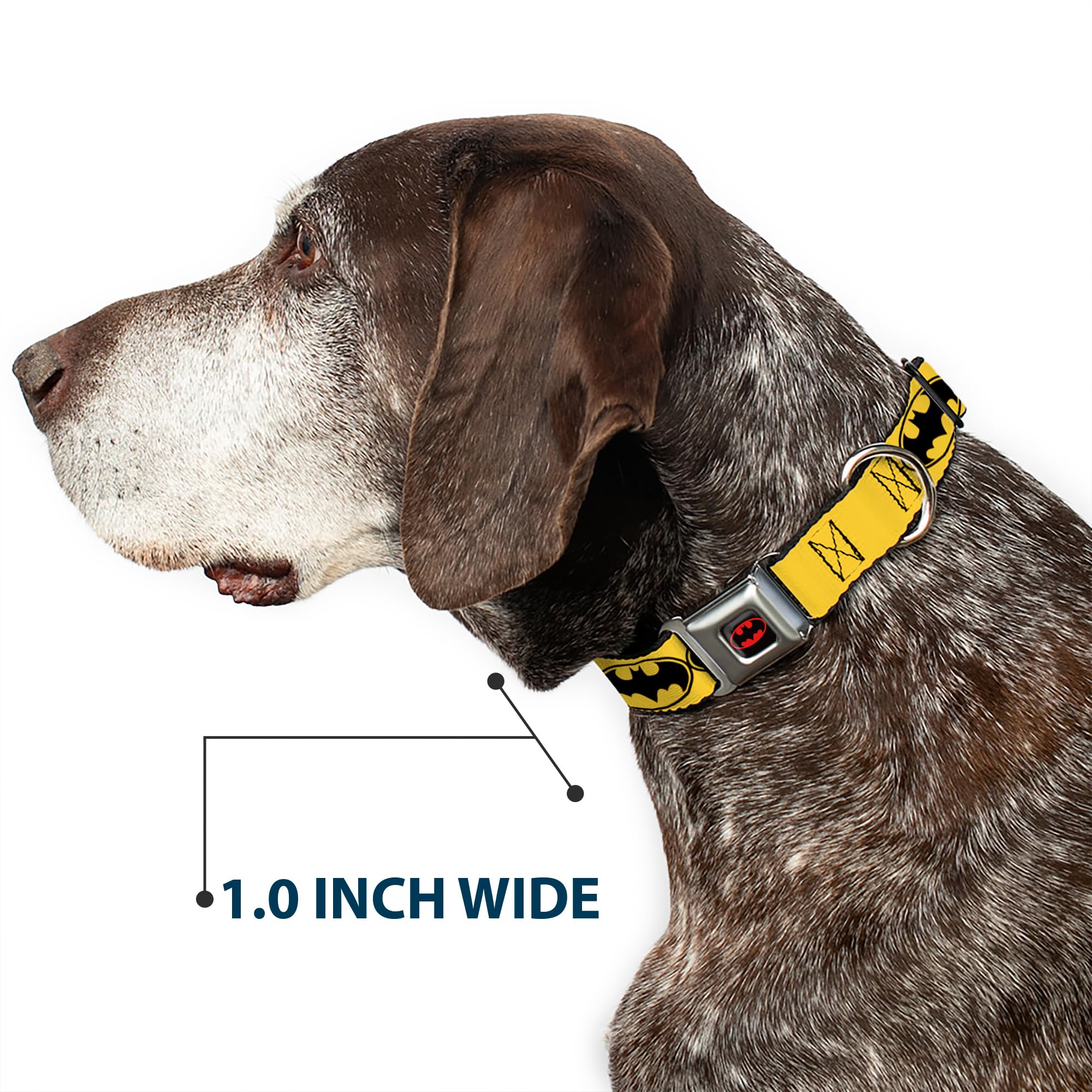 Bat Signal Dog Collar - 1.5