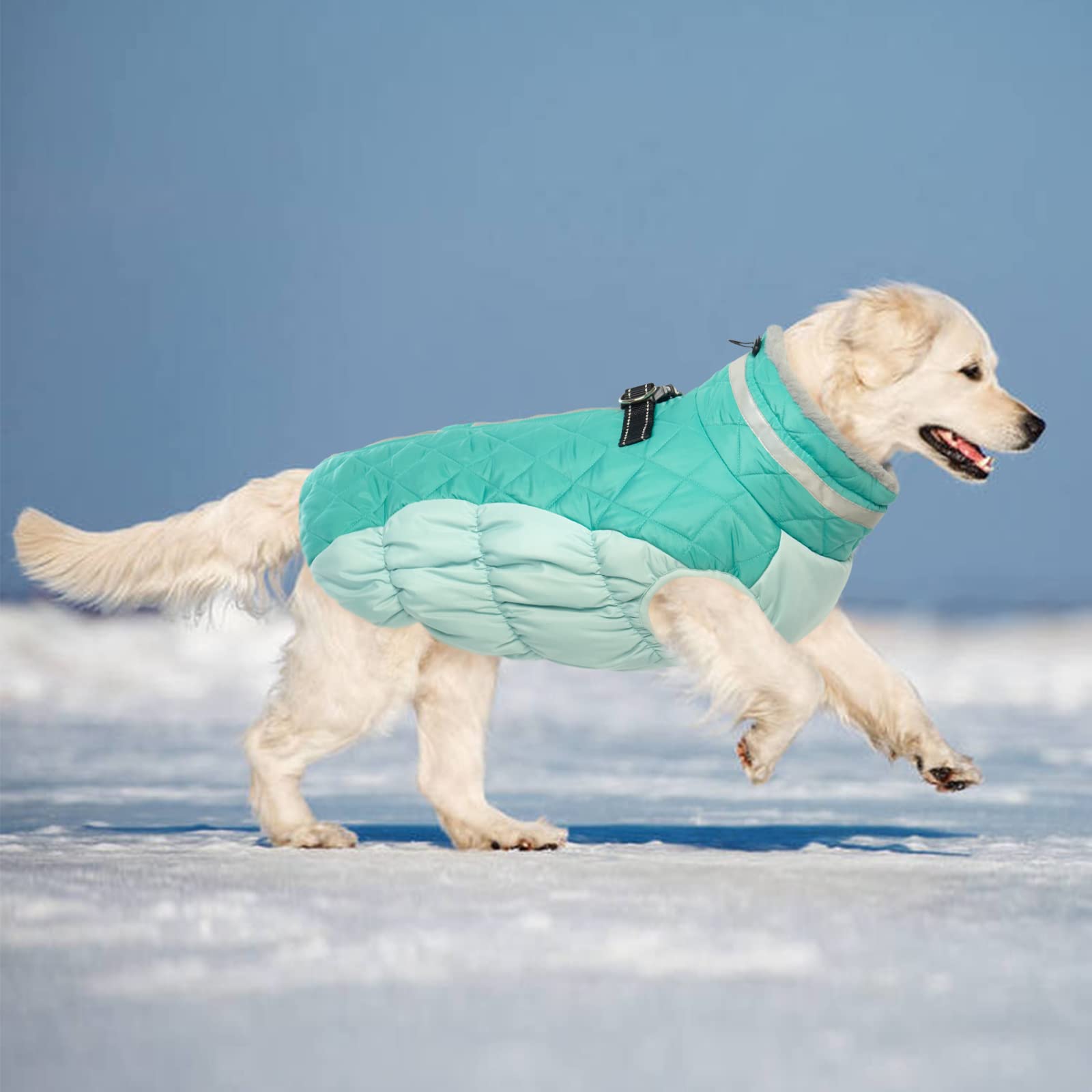 **Lelepet Warm Winter Dog Coat - Waterproof Windproof Fleece Jacket with Reflective Harness for Small Dogs | Turtleneck Zippered Snow Vest for Outdoor Walks & Cold Weather**