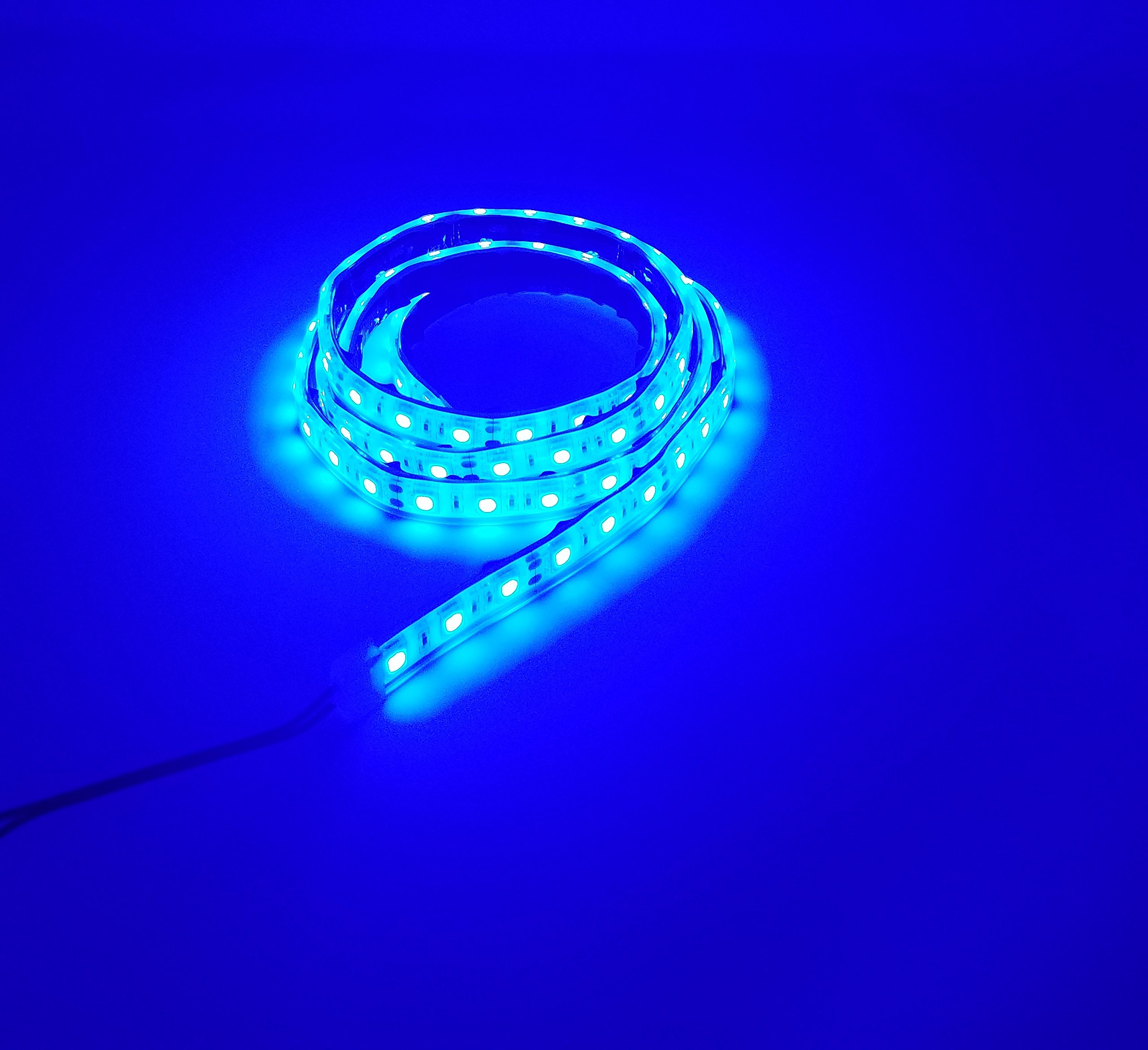 12V Marine Submersible LED Light Strip - 6ft Waterproof Blue Rope Lights for Boats, Pools & Underwater Decor | IP68 Waterproof for Indoor/Outdoor Use