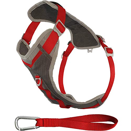 Grey/Red