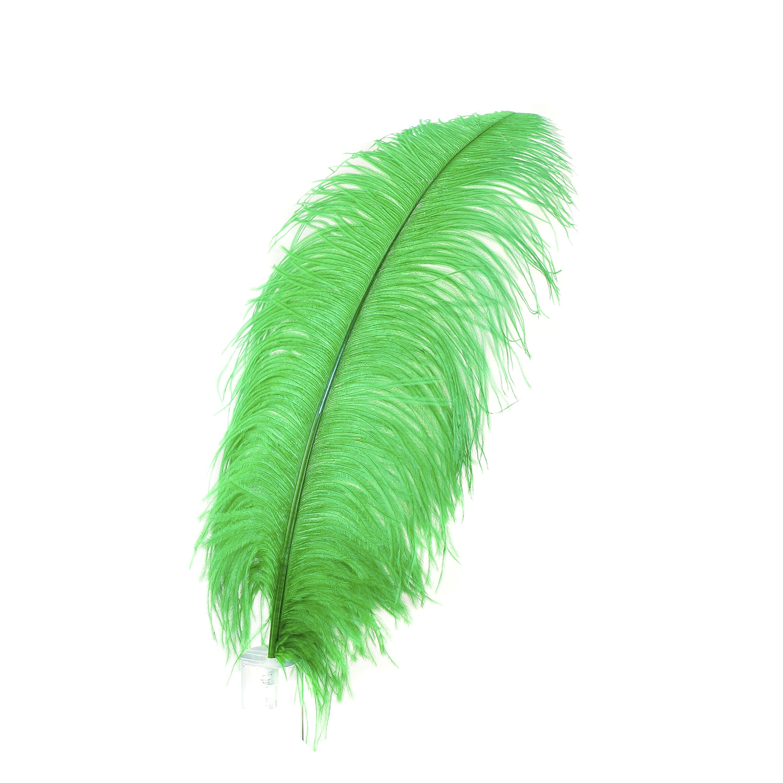 Premium ZUCKER Ostrich Feathers - 17-25 Inch Natural Drabs - 25pcs Bulk Pack for Wedding Centerpieces, Event Decor, DIY Crafts & Home Decoration - Kelly Green - Perfect for Bouquets, Table Arrangements, and Costume Accessories