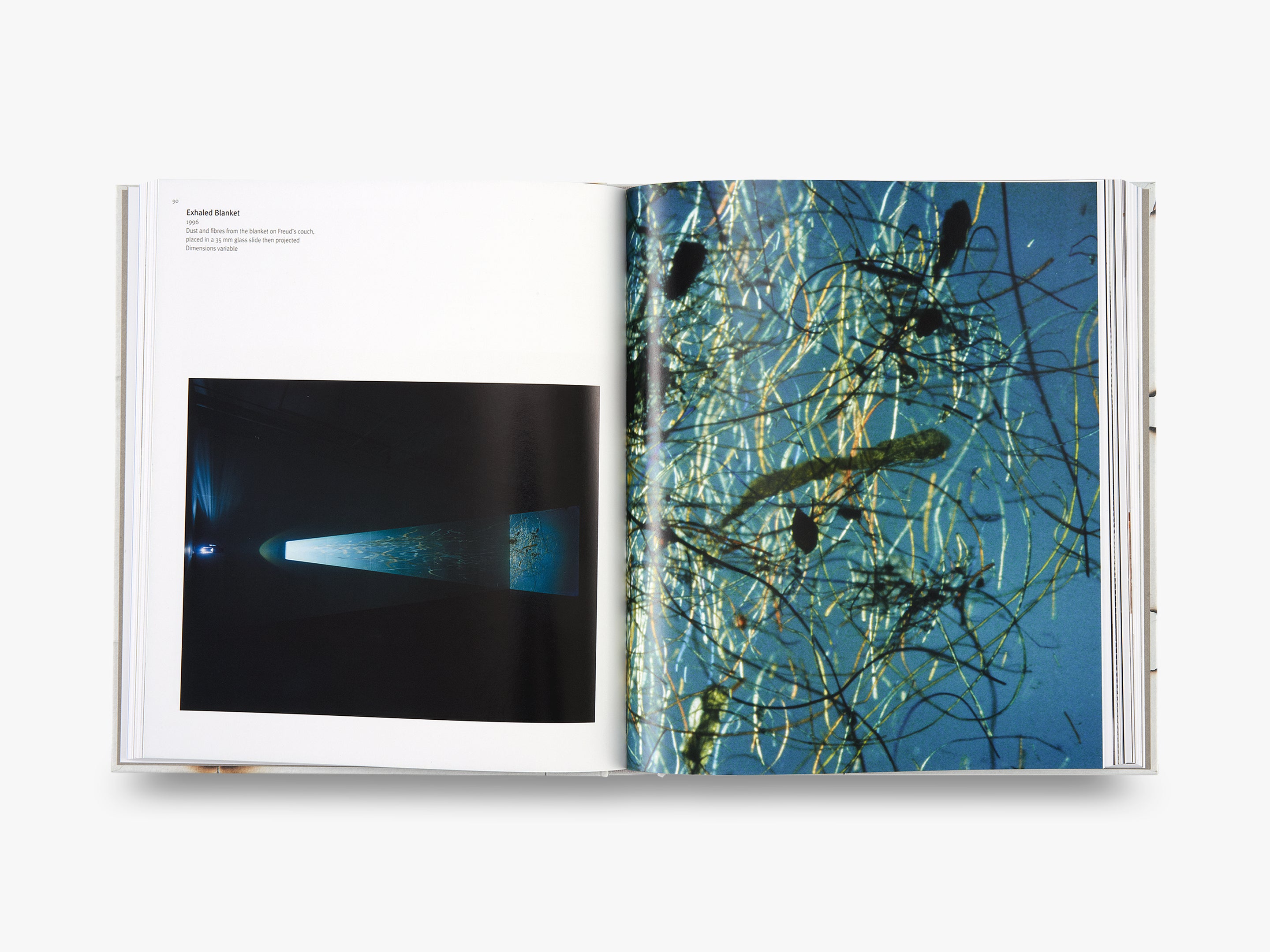 Cornelia Parker Limited Edition Artwork - Exclusive Collectible for Home Decor & Office Display