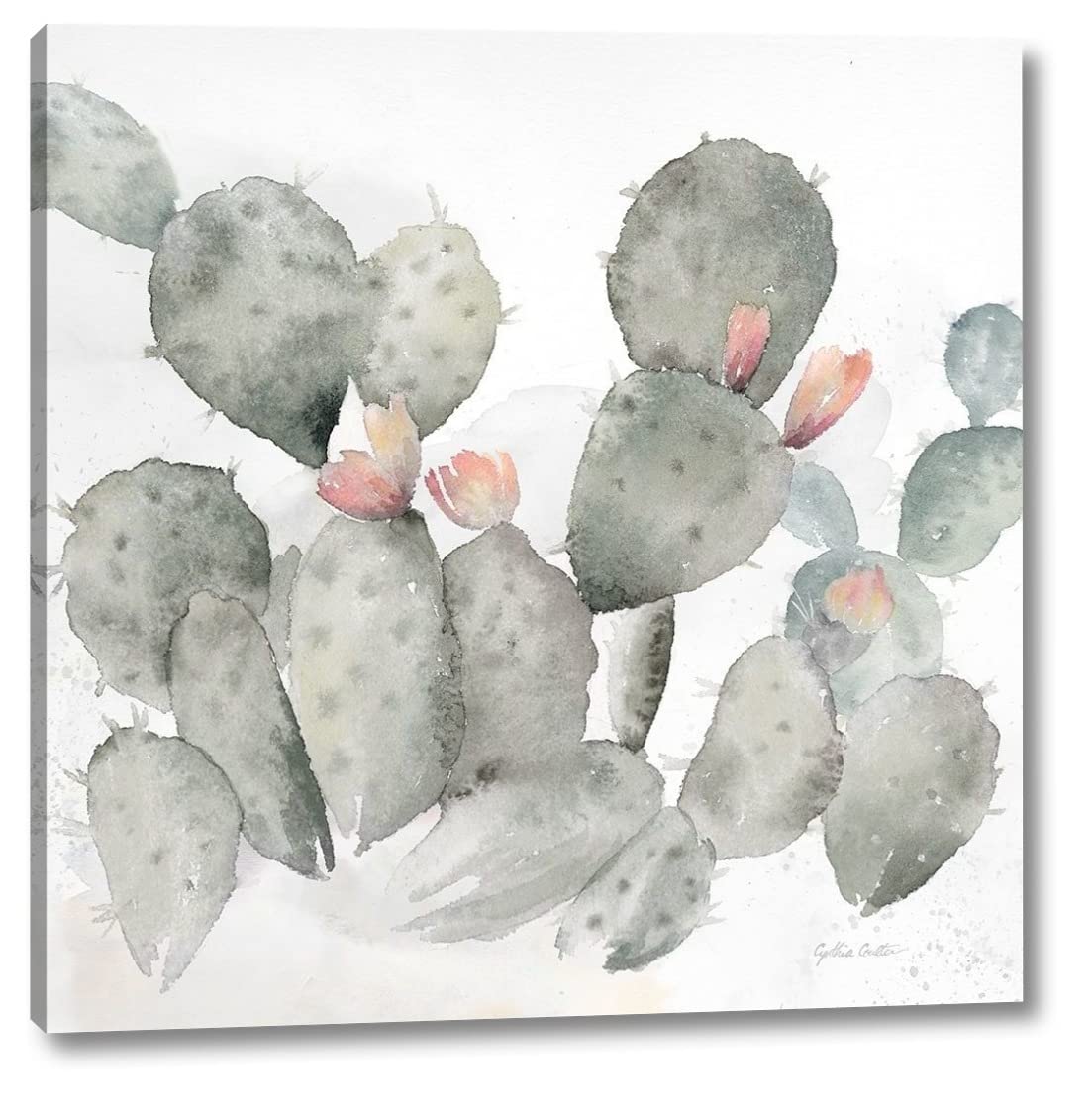 Cynthia Coulter Cactus Garden Gray Blush I 30x30 Inch Gallery Wrapped Canvas Wall Art Print - Ready to Hang - Perfect for Living Room, Bedroom, or Office Decor