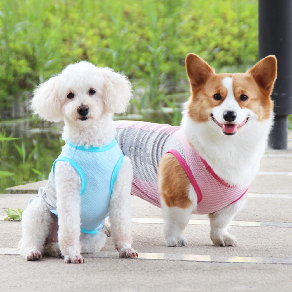 Dog Cooling Vest - Breathable Summer Pet Clothes for Small, Medium & Large Dogs | Corgi Puppy Shirts | UV Protection & Heat Relief | Perfect for Outdoor Walks, Beach Trips & Hot Weather (Pink, Size S)