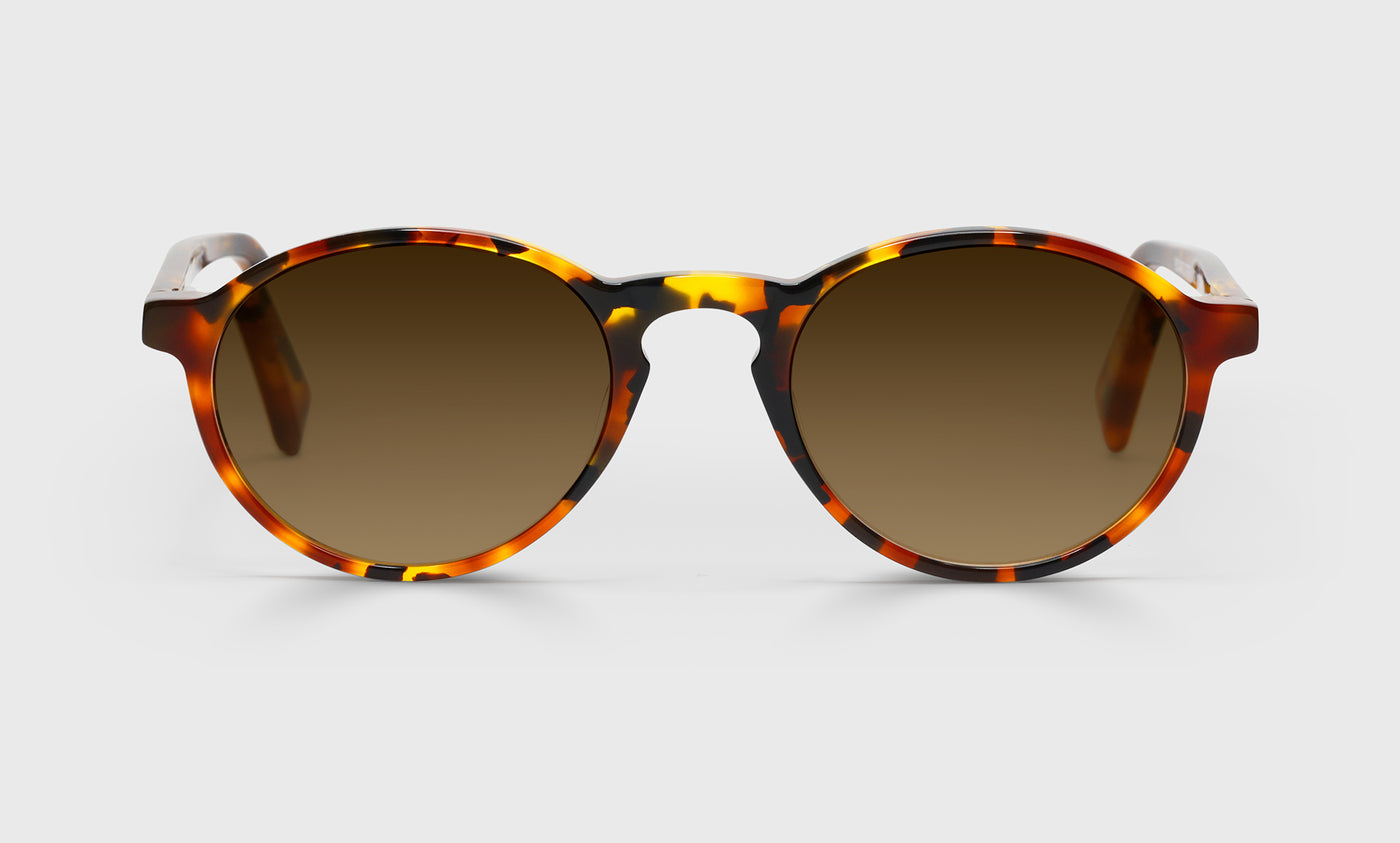 Board Stiff Wide Color 19 Tortoise Front and Temples - Stylish Eyeglass Frames for Men & Women - Perfect for Reading, Working, and Everyday Fashion Accessory