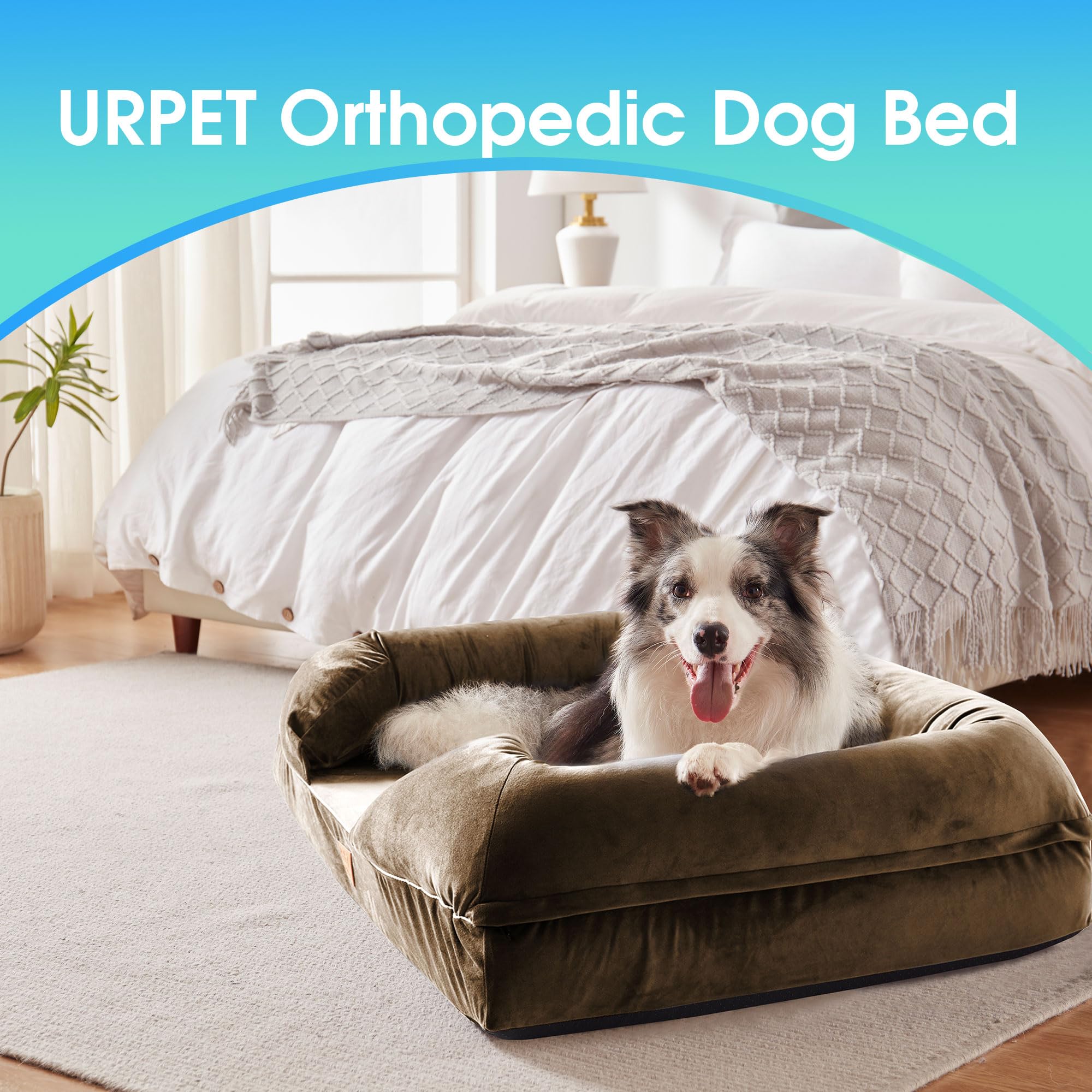 Orthopedic Dog Bed for Extra Large Dogs - XL Washable Memory Foam Pet Sofa with Waterproof Liner & Removable Cover, Non-Slip Bottom, Brown, 44x34x10 Inches - Perfect for Living Room, Bedroom, or Kennel Use