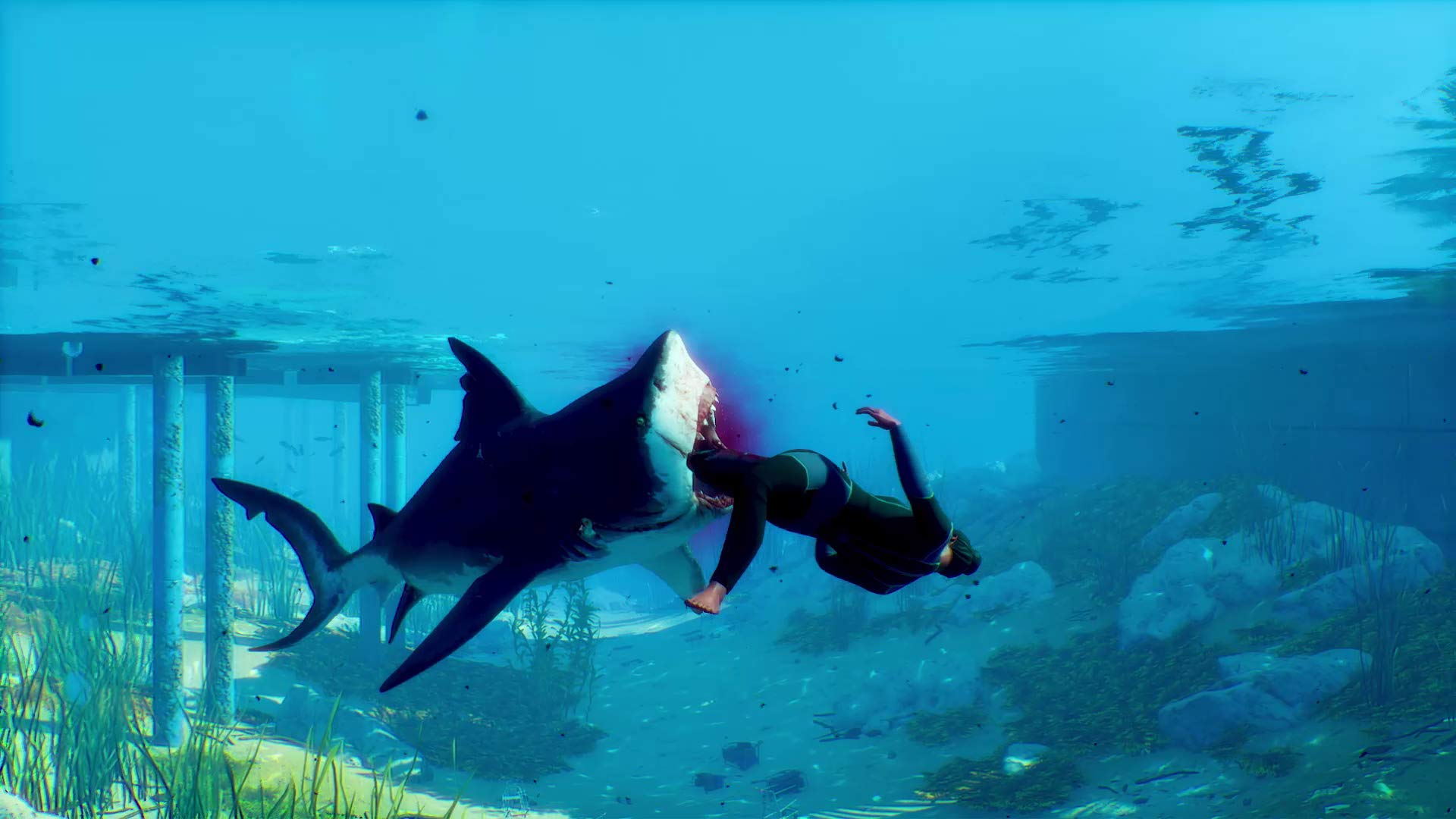 Maneater - Nintendo Switch Game | Open-World Action RPG | Underwater Adventure for Shark Lovers | Perfect for Home Gaming & Travel Entertainment