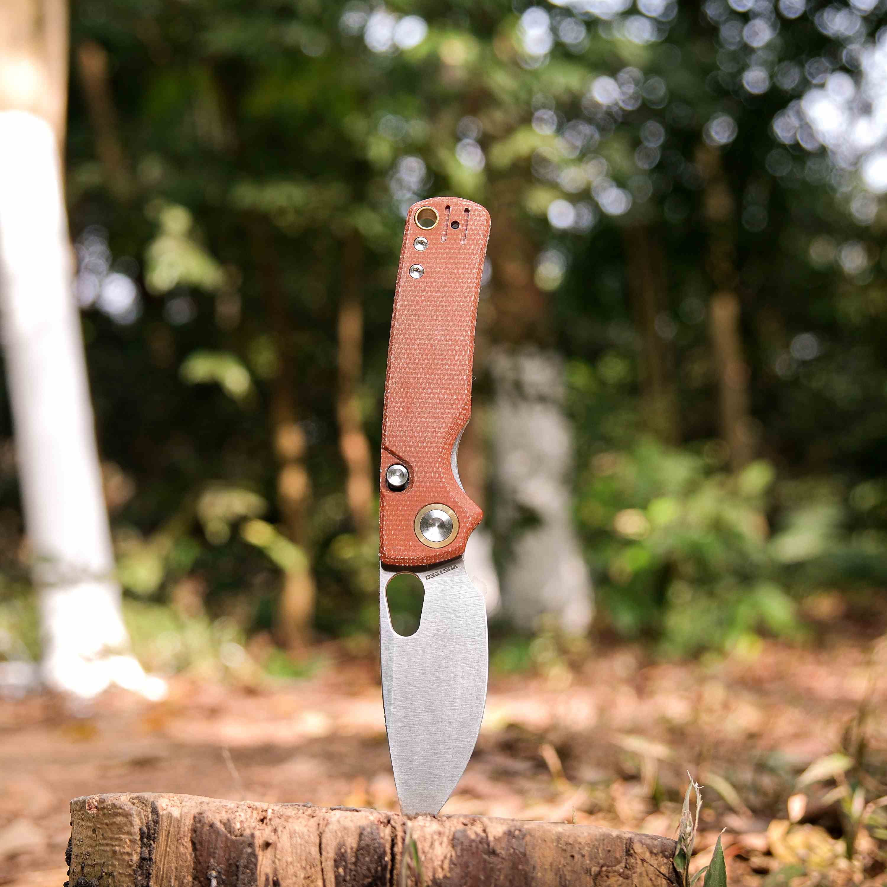 Porcupine Top Liner Lock Folding Knife - 2.99