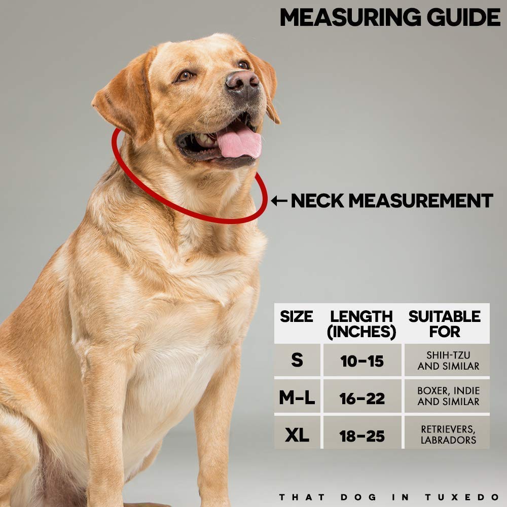 Premium Adjustable Strong Dog Collar - Tuxedo Style for Large Dogs (Black, XL) - Perfect for Weddings, Parties & Formal Events