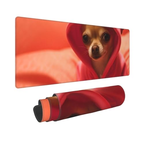 Depressed Chihuahua
