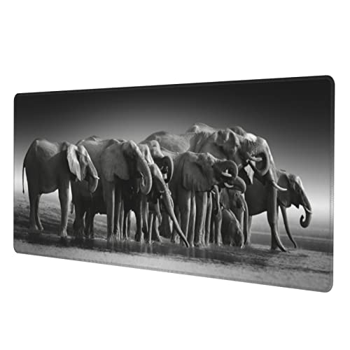 Elephants Family